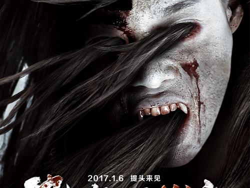 高中毕业证可以网上查询吗